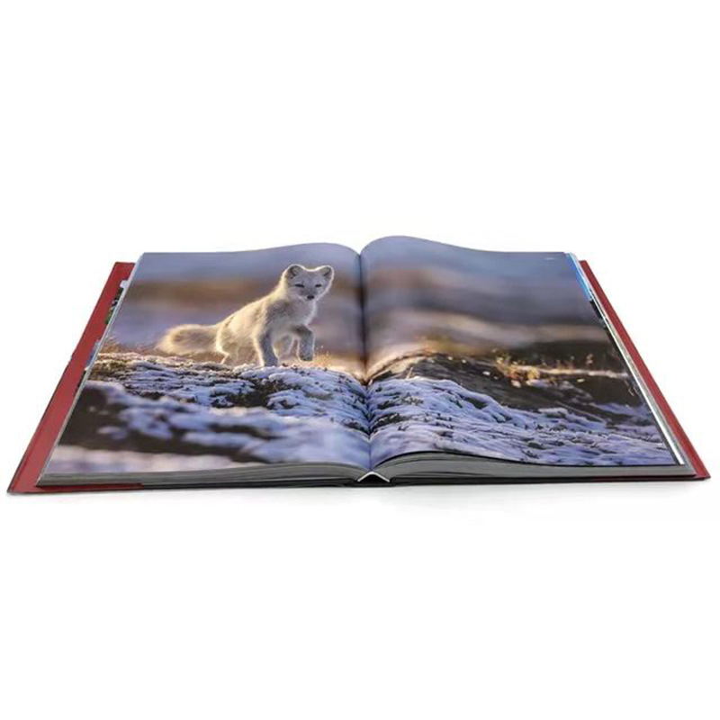 Ucuz yüksek kaliteli sert kapak kitabı baskı tahtası kapak Çin'de basılmış fantezi kitap